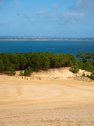 La dune du Pilat, ses pins, et le Bassin d'Arcachon au fond