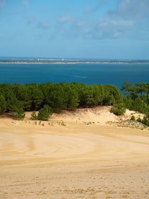Le sable de la dune du Pilat, une forêt de pins et le Bassin d'Arcachon au fond, sous un ciel bleu