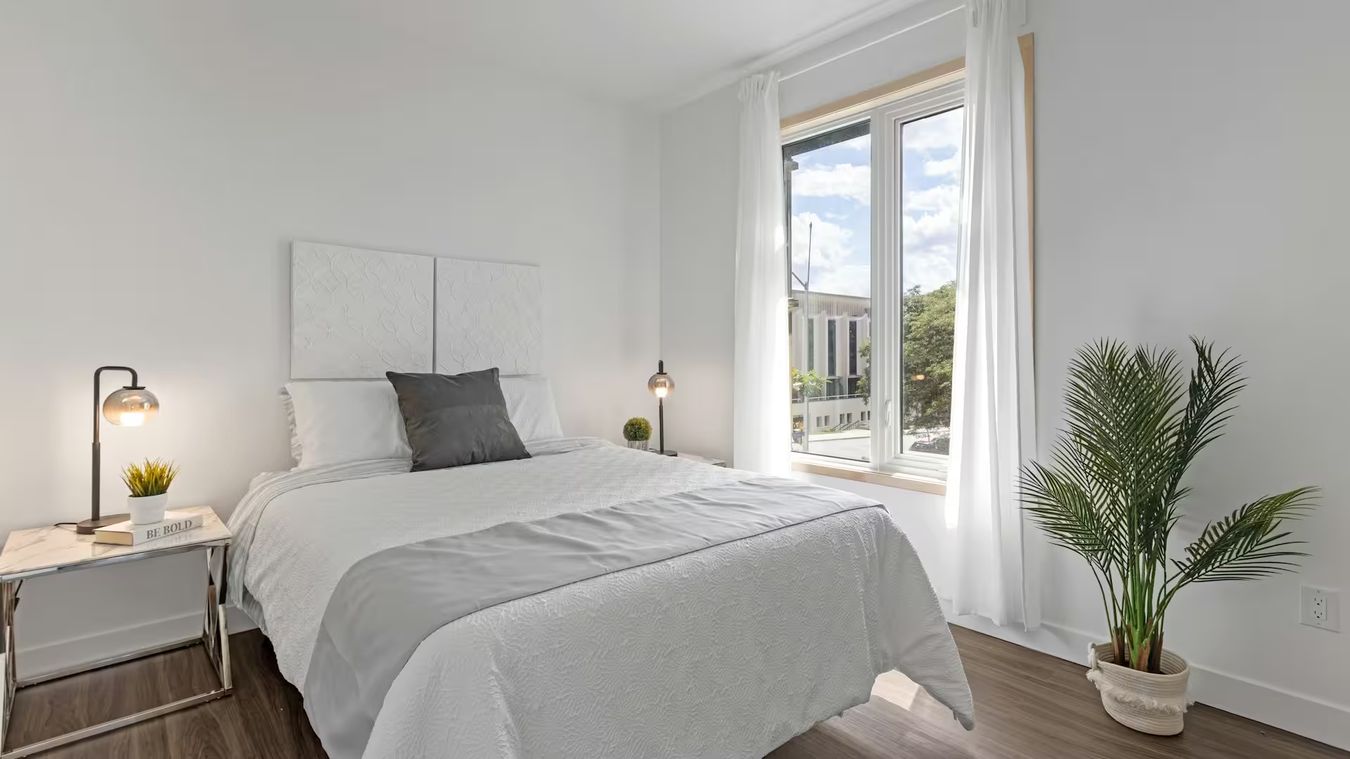 Une chambre claire, un lit aux draps blancs et plaid gris, une grande plante près de la fenêtre
